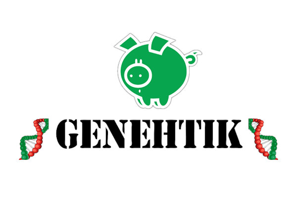Genehtik: Los mejores bancos de semillas feminizadas 2023